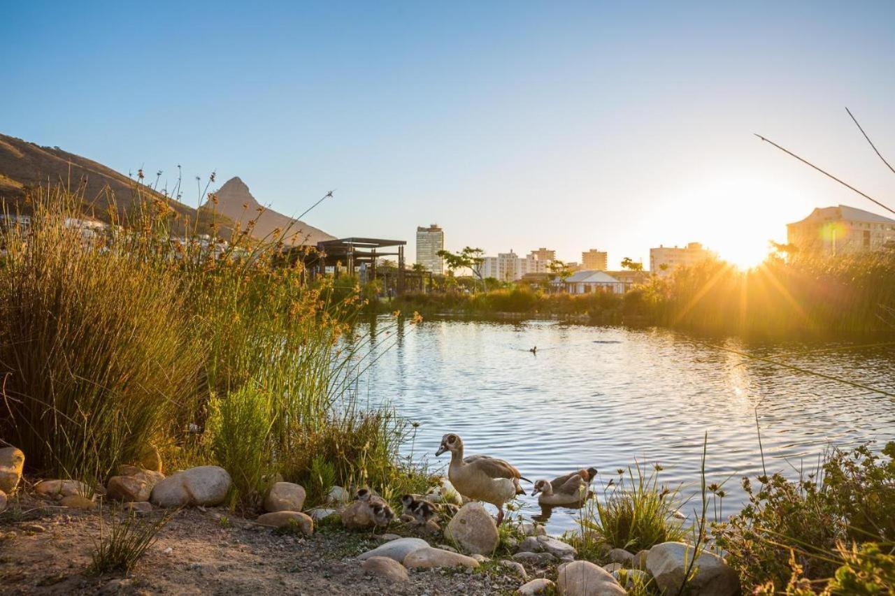 Luxury Apartment, Near V&A Waterfront And Cpt Stadium Ciudad del Cabo Exterior foto